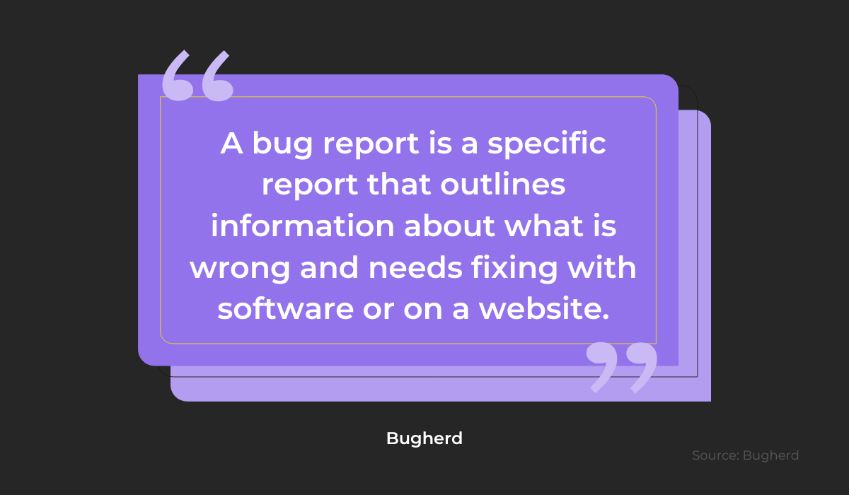 Bug report definition 