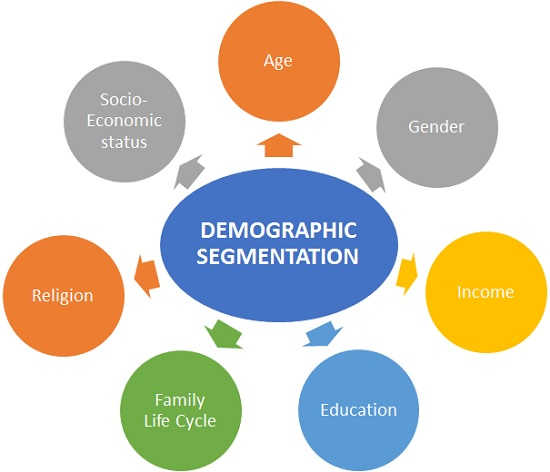 Demographic segmentation infographic