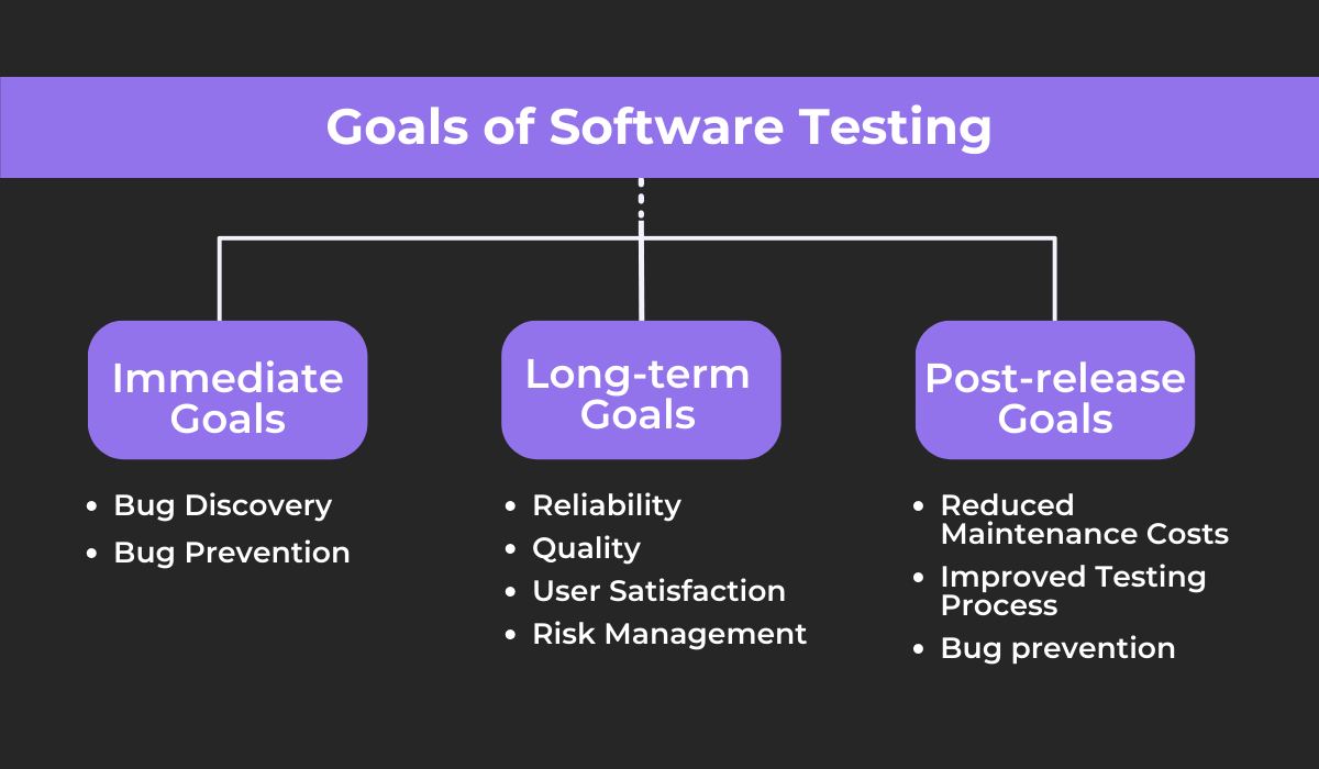 Goals of software testing infographic