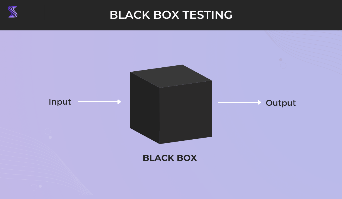 Black box testing infographic