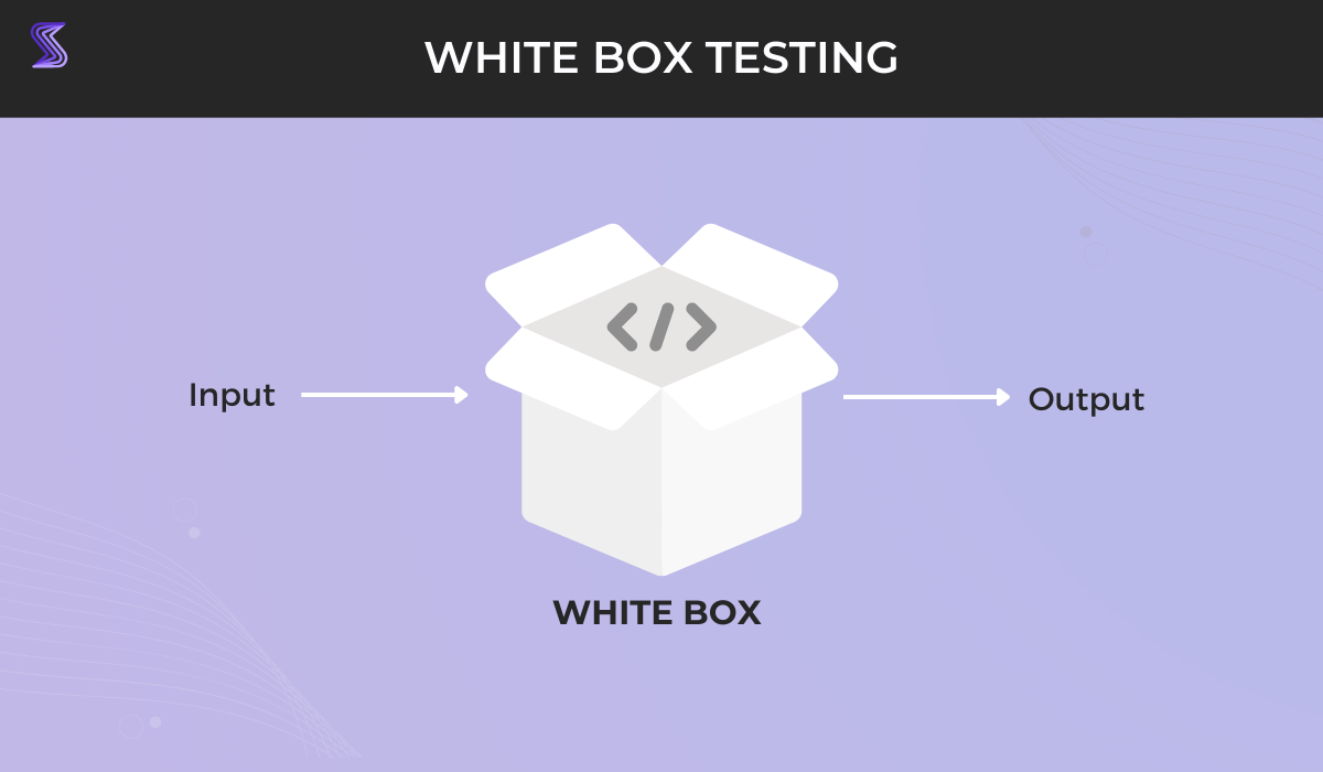 White box testing infographic
