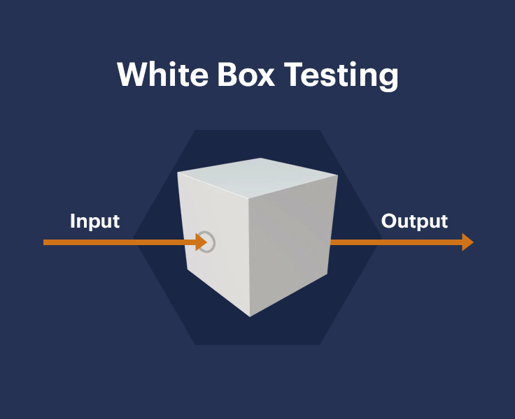 White box testing