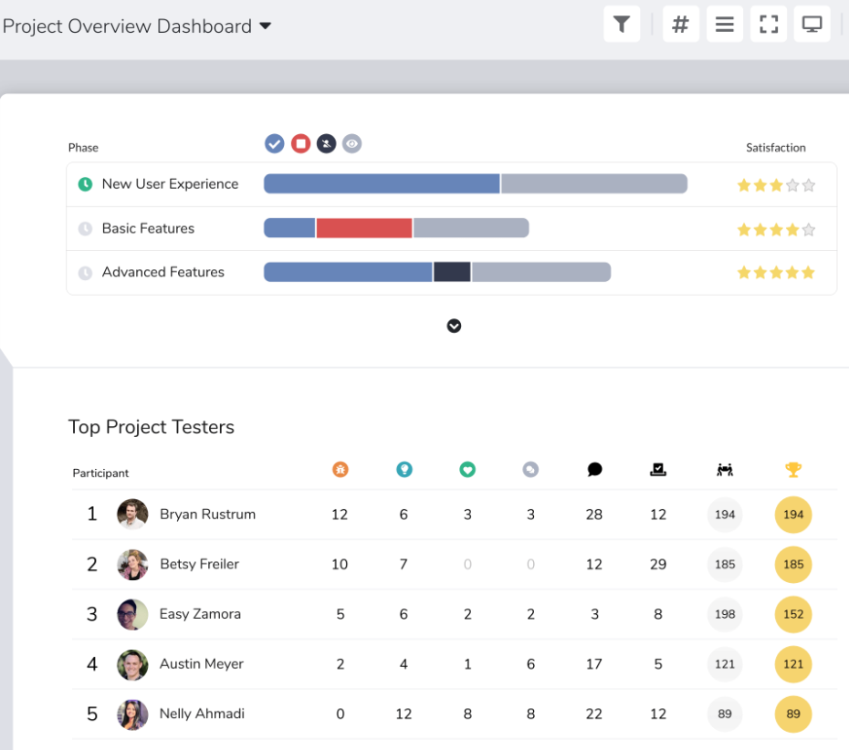 Project overview dashboard 