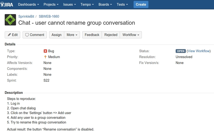 jira bug report screenshot