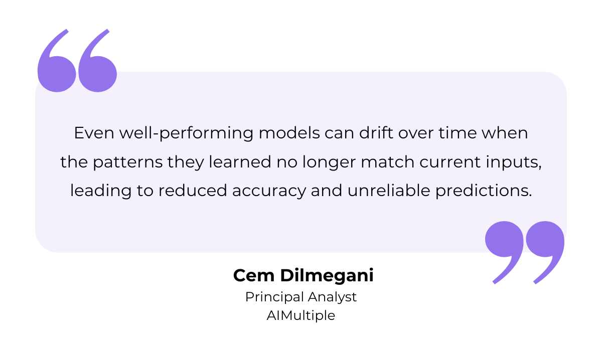 Dilmegani quote